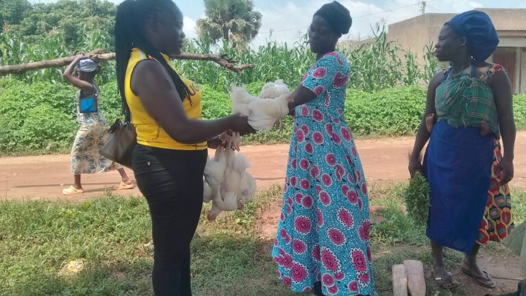 {"capture mode":"automodule","faces":[]}